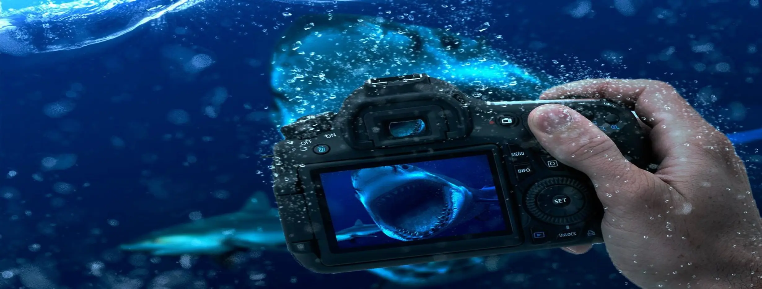 Image for Underwater Photography